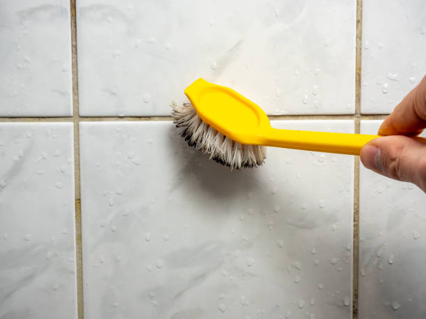 Best Affordable Mold Removal  in Liberty, PA
