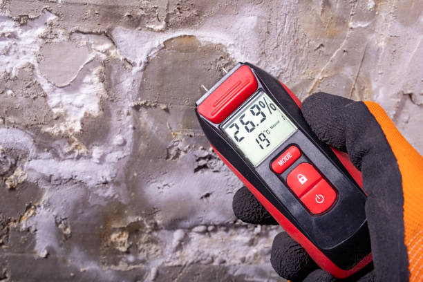 Mold Removal Process in Liberty, PA