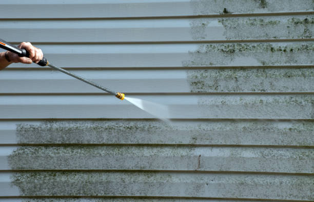 Best Mold Removal Process  in Liberty, PA